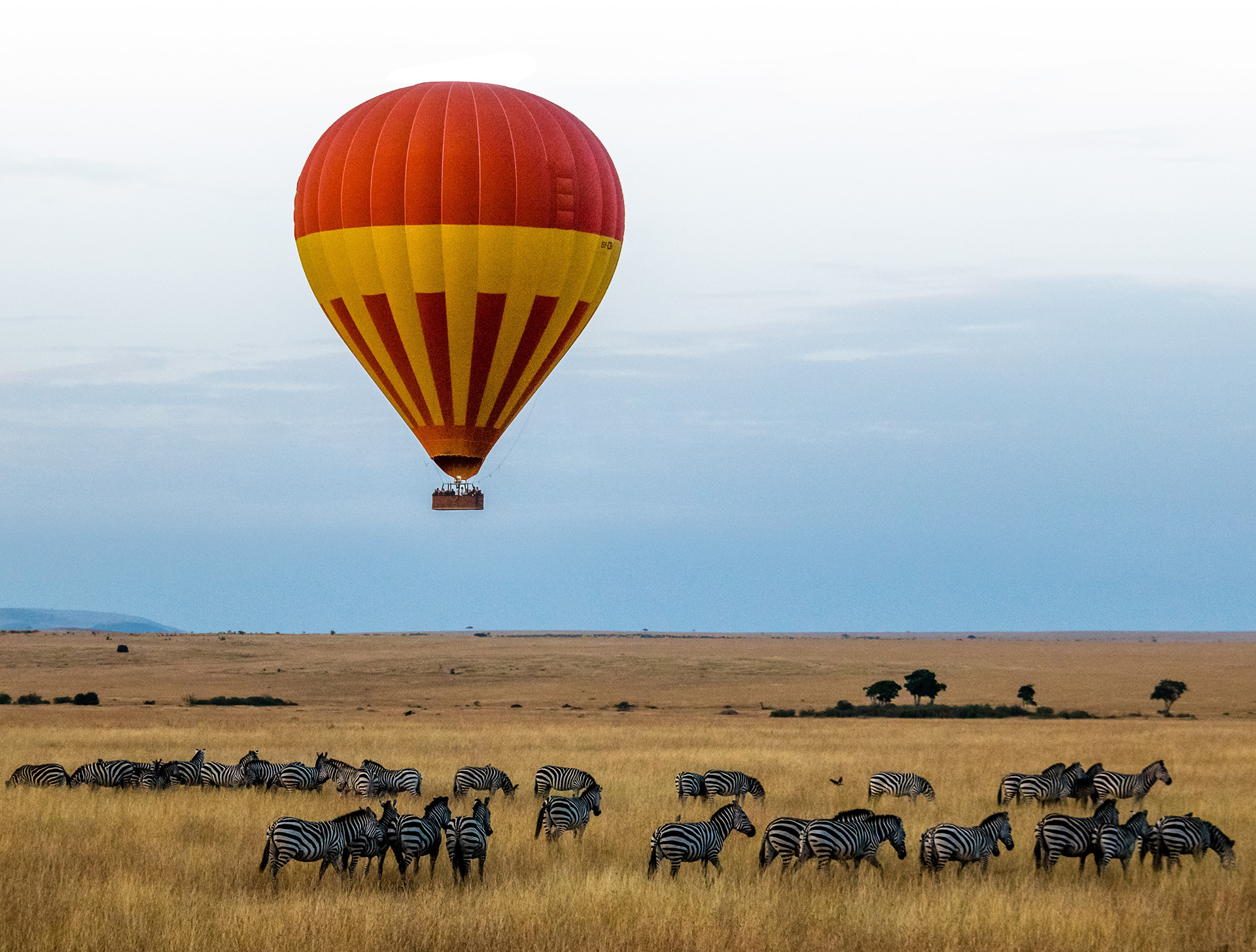Southwestern Kenya: Maasai Mara National Reserve